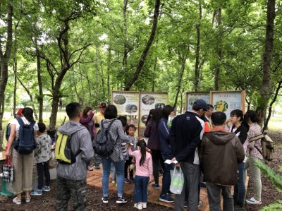 「南華林業園區」於28日桐花盛開季節，首次辦理友善市集與森林體驗，吸引了350名遊客前往 (10)